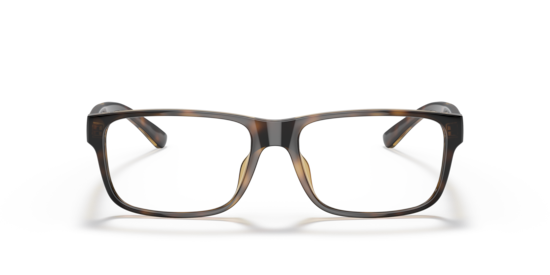 PH2237U Polo Ralph Lauren Shiny Havana