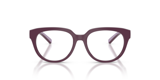 DX5007 Dolce & Gabbana Violet
