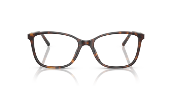 DG3424 Dolce & Gabbana Havana