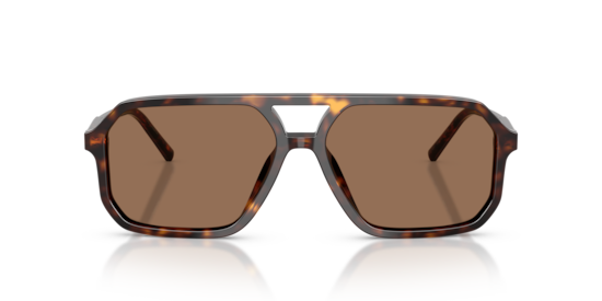 DG4541 Dolce & Gabbana Havana