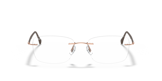 RB8725 Optics Ray-Ban Light Brown