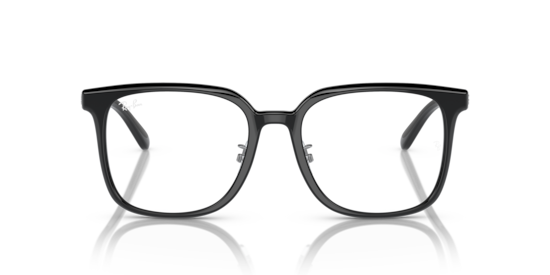 RB5419D Ray-Ban Black