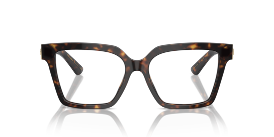 DG3395 Dolce & Gabbana Havana