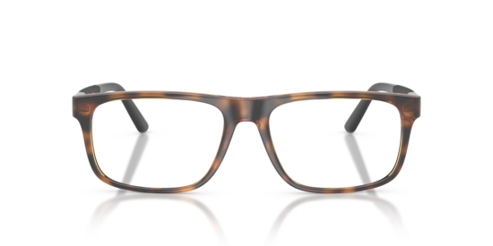 PH2218 Polo Ralph Lauren Shiny Dark Havana