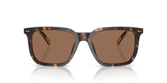 PH4224U Polo Ralph Lauren Shiny Dark Havana