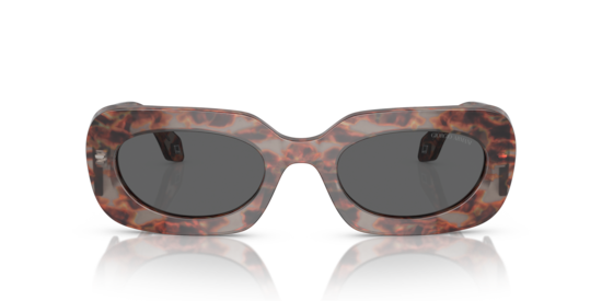 AR8182 Giorgio Armani Grey Havana
