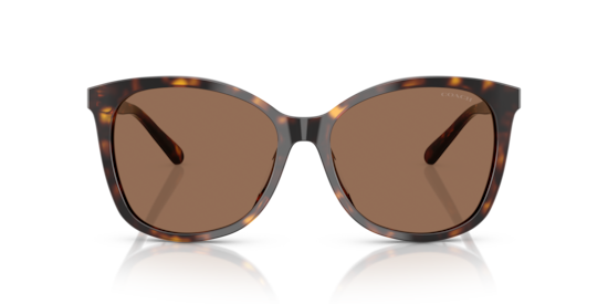 HC8271U L1101 Coach Dark Tortoise
