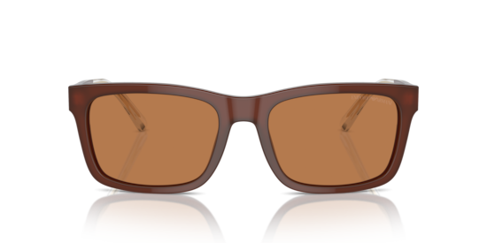 EA4224 Emporio Armani Shiny Opaline Brown