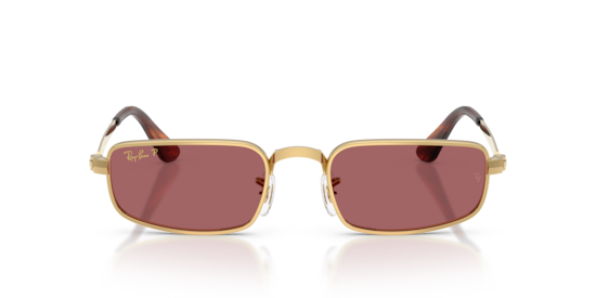 RB3927 By A$AP Rocky Ray-Ban Arista Gold