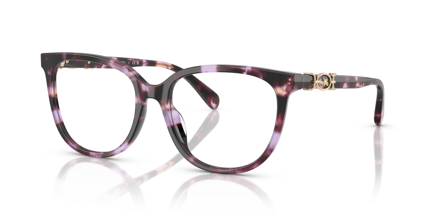 Coach HC6260U Purple Tortoise