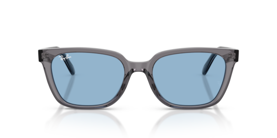 RB2243D Ray-Ban Transparent Grey