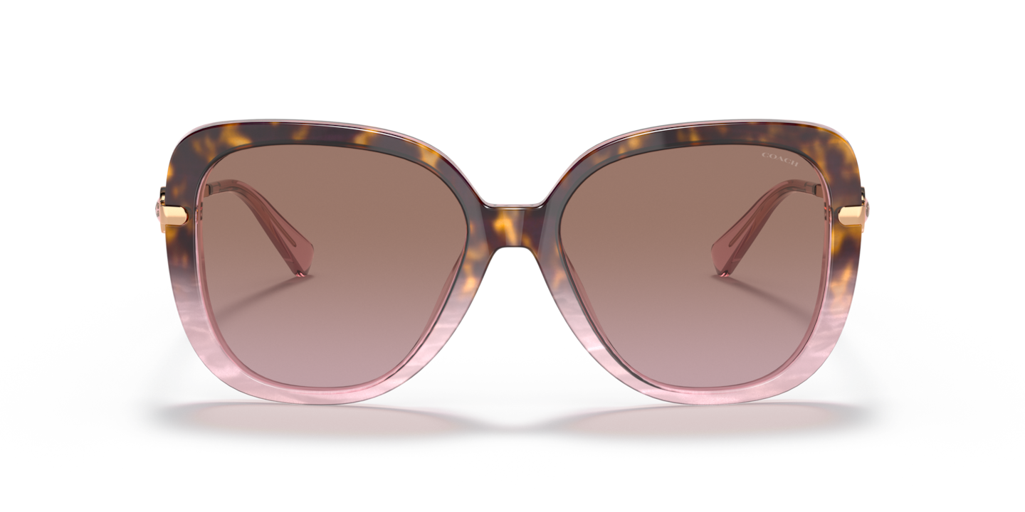 Sunglasses Coach HC8320 C6180 | Free Shipping | Glasses.com® display picture 3