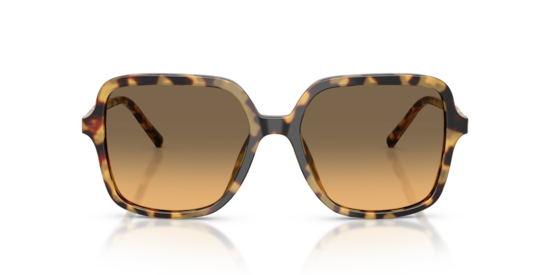 DG4539 Dolce & Gabbana Yellow Havana