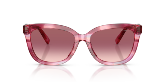 HC8453U CDP53 Coach Purple Cosmo Tortoise