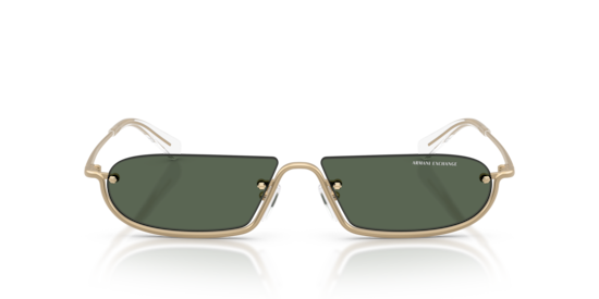 AX2058S Armani Exchange Matte Pale Gold