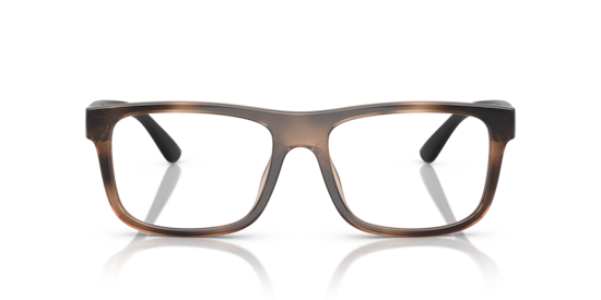 PH2290U Polo Ralph Lauren Shiny Havana