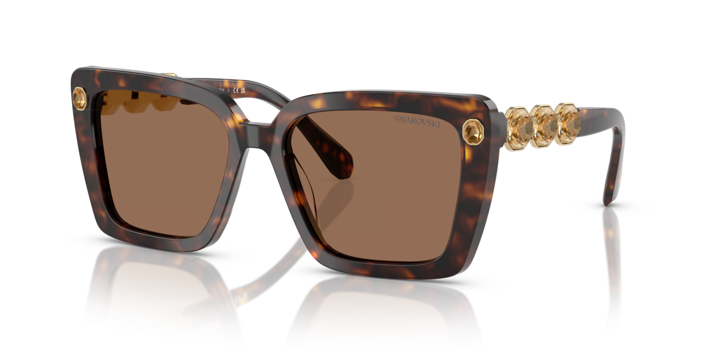 Swarovski SK6032 Havana