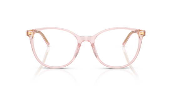 DG3425 Dolce & Gabbana Transparent Rose