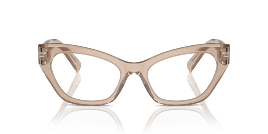 DG3385 Dolce & Gabbana Transparent Camel