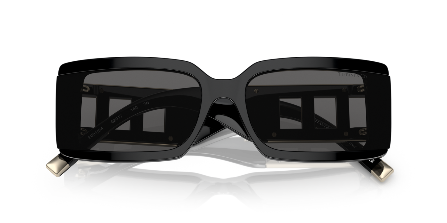 Sunglasses Tiffany TF4197 | Free Shipping | Glasses.com®