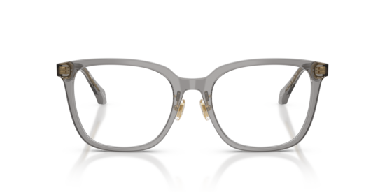VE3378D Versace Transparent Grey