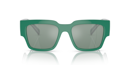 DG6184 Dolce & Gabbana Green