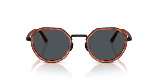 AR6181 Giorgio Armani Brown Turtle