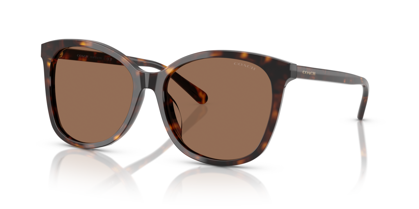 Coach HC8271U L1101 Dark Tortoise