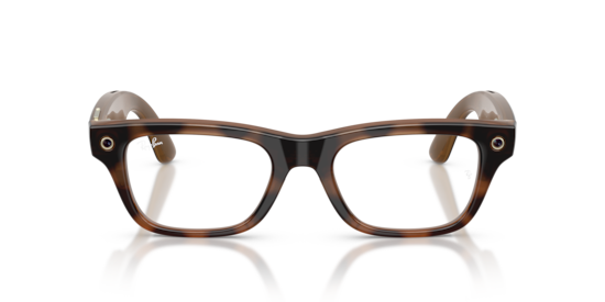 Ray-Ban Meta Blayzer Optics Ray-Ban Havana