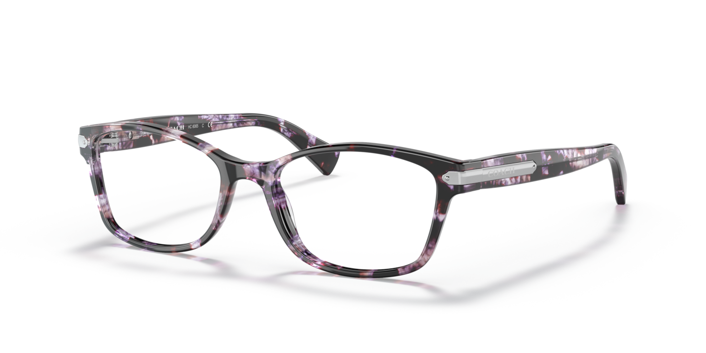 Coach HC6065 Purple Tortoise