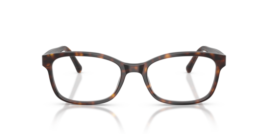 BE2201 Burberry Dark Havana