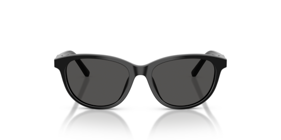 DX4010 Dolce & Gabbana Black