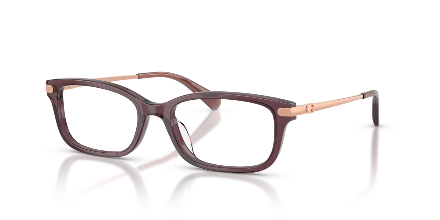 Coach HC6287U Transparent Iris