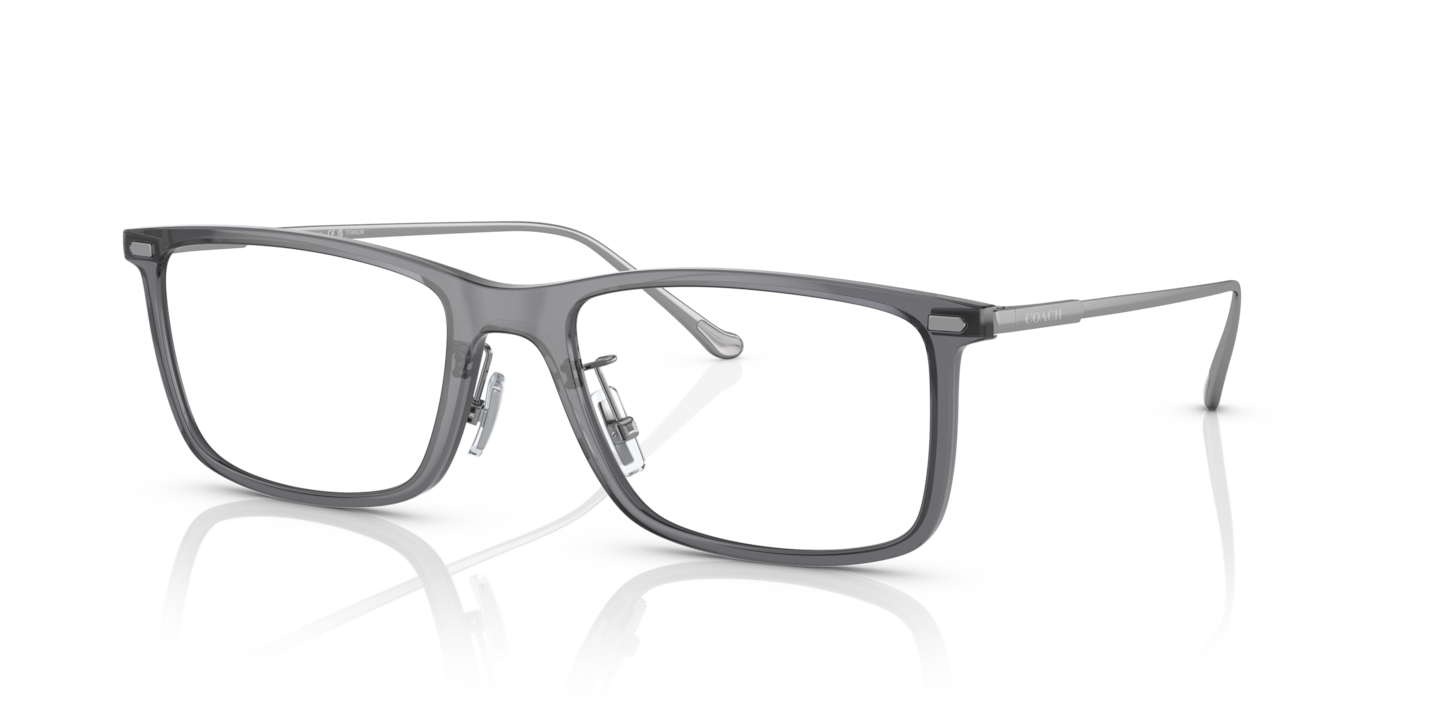 Coach HC6205 Transparent Dark Grey