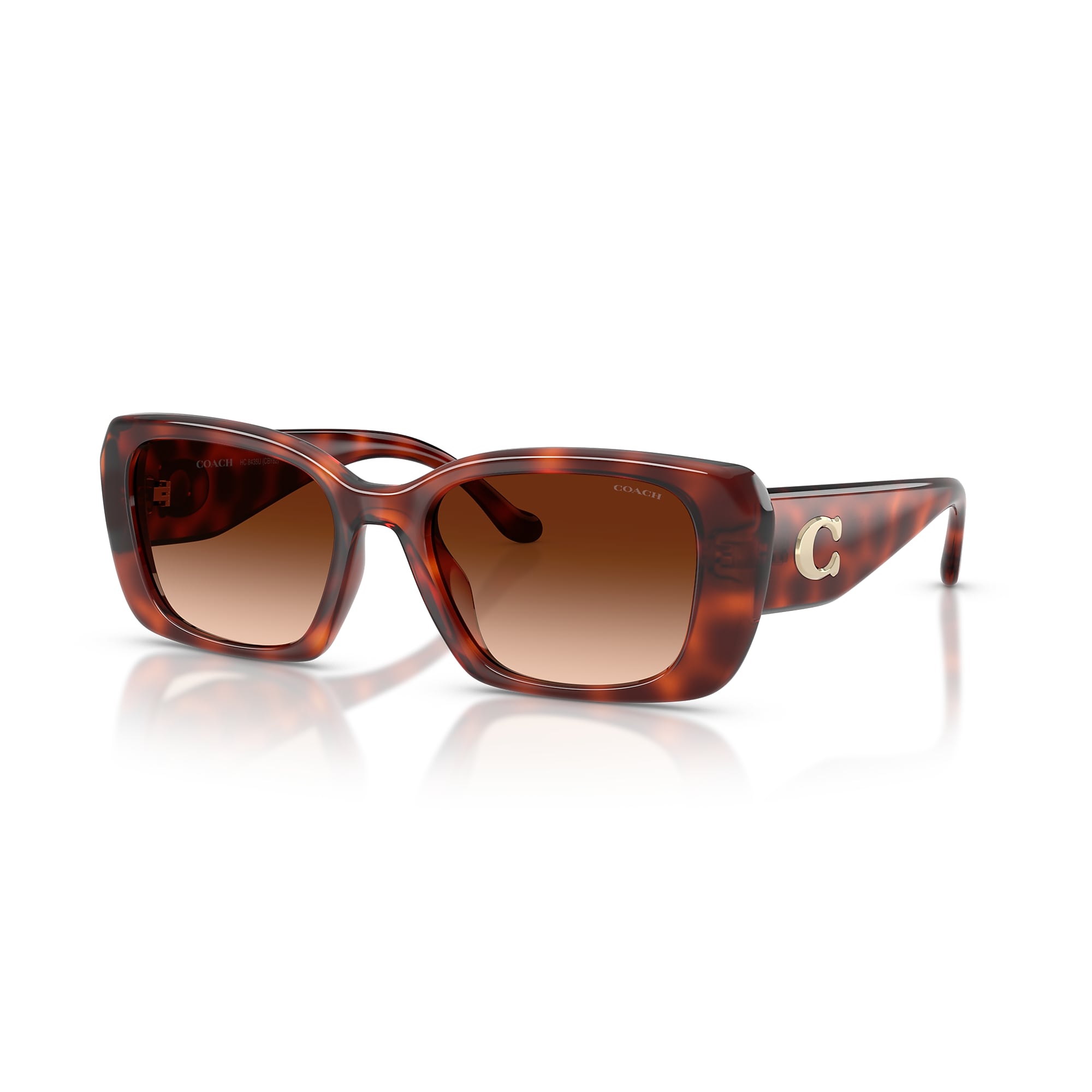 Sunglasses Coach HC8435U CBY82 | Free Shipping | Glasses.com®