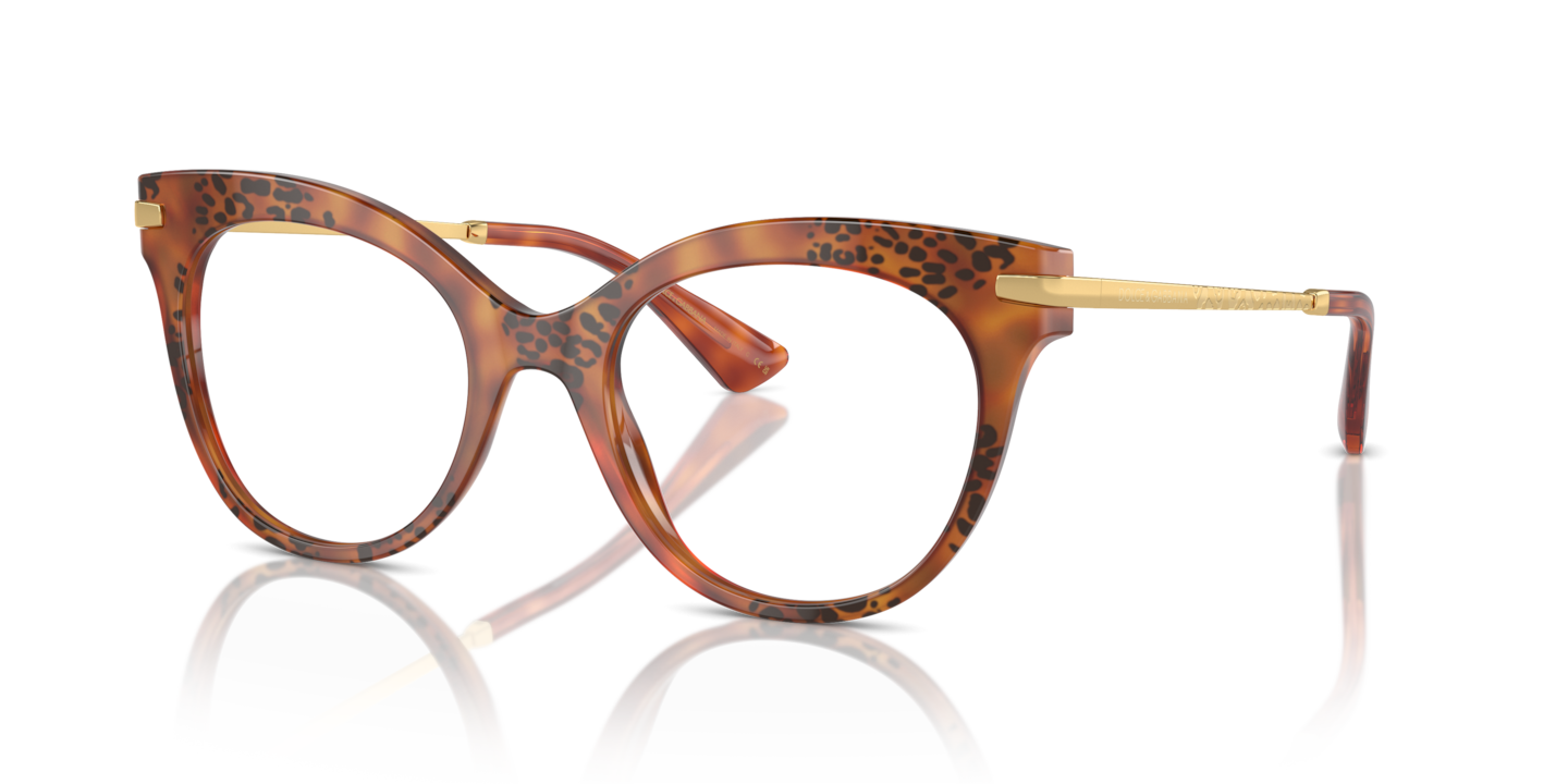 Dolce & Gabbana DG3392 Havana Leo