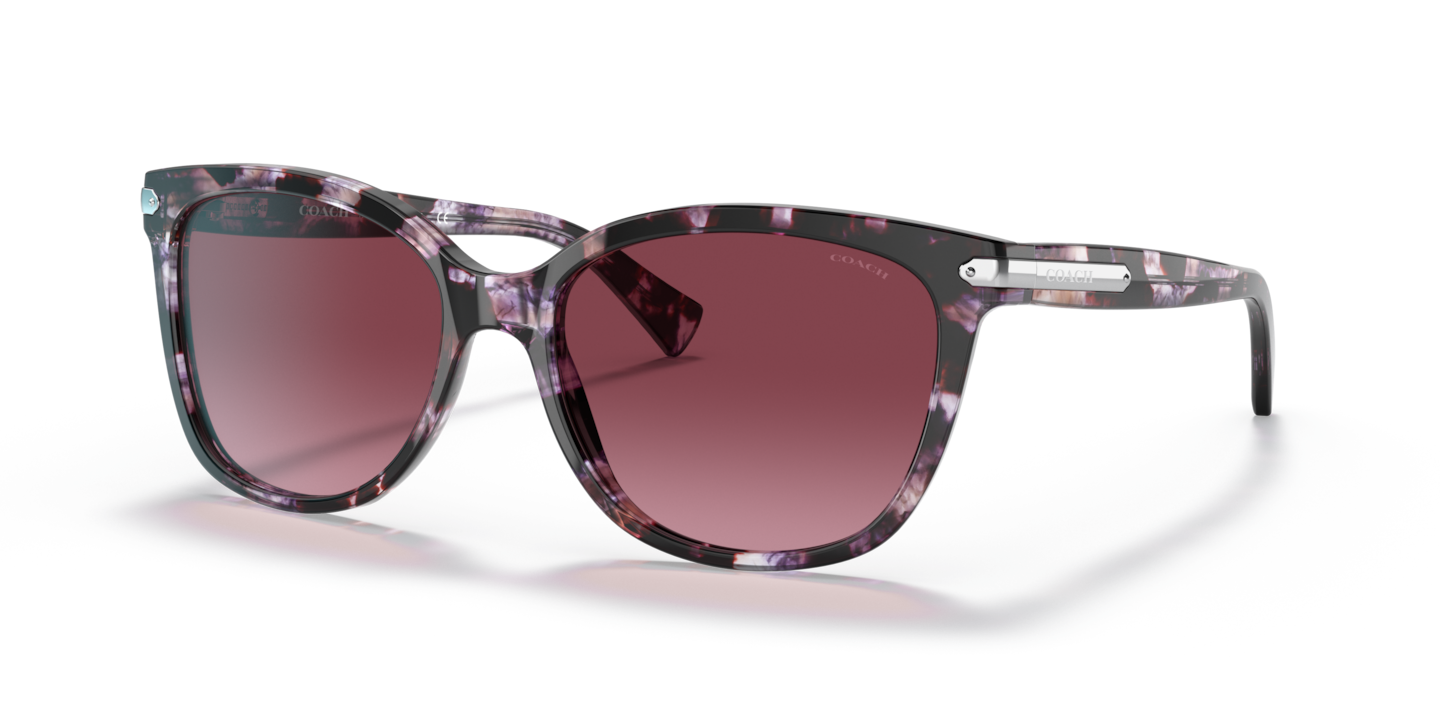Coach HC8132 L109 Purple Tortoise
