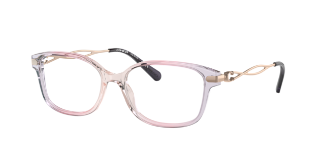 Eyeglasses Coach HC6172 | Free Shipping | Glasses.com®