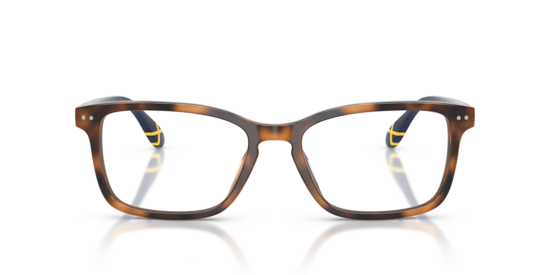 PH2316U Polo Ralph Lauren Shiny Tortoise