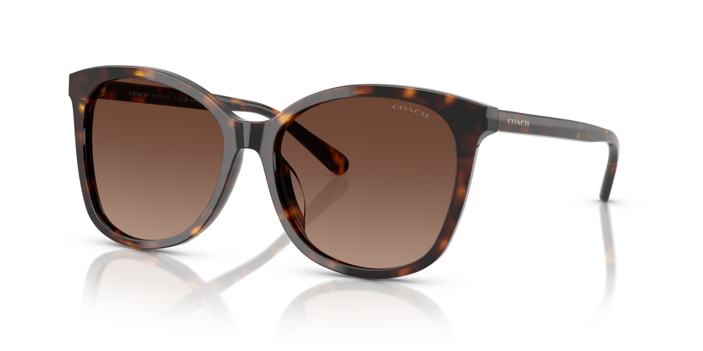 Coach HC8271U L1101 Dark Tortoise