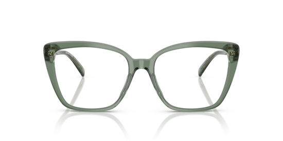 MK4110U Avila Michael Kors Smokey Olive Transparent