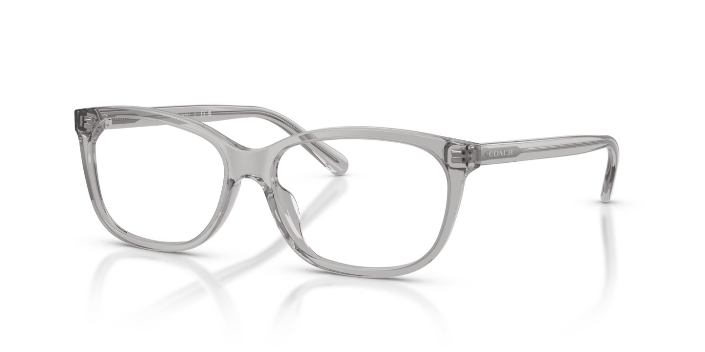 Coach HC6139U Transparent Grey
