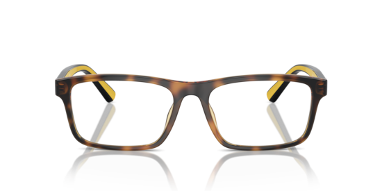 PH2274U Polo Ralph Lauren Shiny Havana
