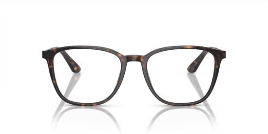 AR7250 Giorgio Armani Havana