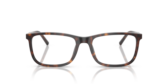 DG3427 Dolce & Gabbana Havana