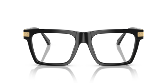 VE3354 Versace Black
