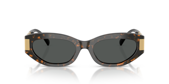 VE4501 Versace Brown Tortoise