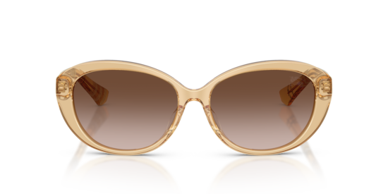 BE4507D Burberry Yellow