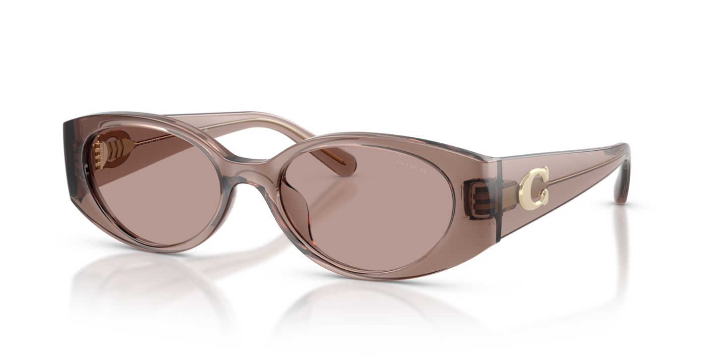 Coach HC8462U CFU06 Transparent Mauve