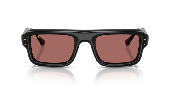 RB4954 Flacko Puffer Ray-Ban Black